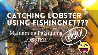 Catching lobster using traditional fishing net | madame kameng nahuling Banagan