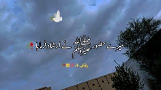 Mery Nabi Kareem ﷺ 🥀🌙 NY Irshad Farmaya, Saqib Raza Mustafai short bayan #urdusubtitle