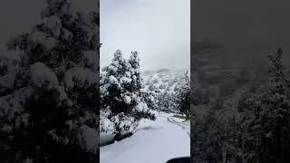 Ziarat Balochistan Snow 2024 #explorepakistan #shortsyoutube #snowfall