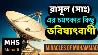 মোহাম্মদ (সাঃ) অলৌকিক ক্ষমতা | কেয়ামত এর আলামত | MHS Mahadi | Talk Islam