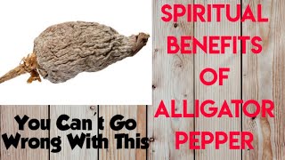 6 Spiritual Benefits Of Alligator Pepper