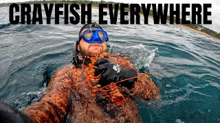 Freediving For CRAYFISH South Africa