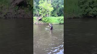 Huge fish pulled my fishing rod into a cold river #explore #fishing #camping #viral ￼