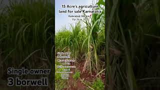 15 Acre’s agriculture land for sale Karnataka #zaheerabad #nh65 #karnataka #humnabad #nirna #99acres