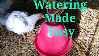 Automatic Watering For Your Flock.