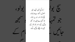 زندگی میں ایک ہی اصول رکھو #trendingshorts #youtubeshorts #islamicquotes #urduquotes #shorts #poetry