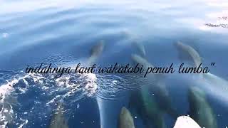 Indahnya laut wakatobi