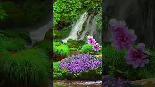 Beautiful waterfall #shorts #youtubeshorts #viralvideo #viral