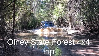 Olney State Forest 4x4 Trip (first trip)