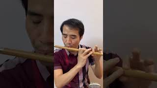 Mộng uyên ương Hồ Điệp - Cover Sáo Trúc 😊