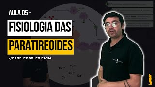 Sistema Endócrino - Aula 05 - Paratireoides