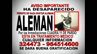 PERRITO PERDIDO ALEMAN 10 12 NOV MP4 360p 16x9