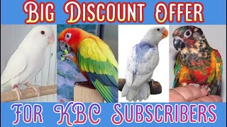 Big Discount On Love birds & Sun conure Parrots | African Love birds