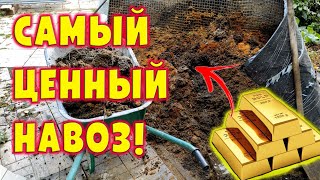 Самый ценный навоз