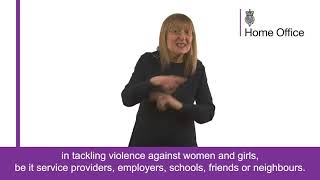 Violence Against Women and Girls call for evidence - BSL