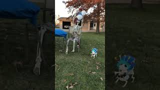 CELEBRATING 51 YEARS OF THE BONES FAMILY #shorts #funny #youtube #skeleton #halloween #birthday #rip