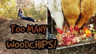 WOODCHIPS+ Chickens Try WEDDING FOOD