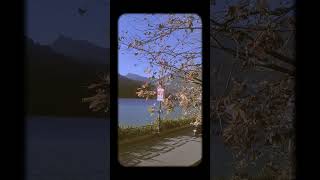 Nainital #song#lake#natural#nature#mountains#pahadi #music #arijitsingh