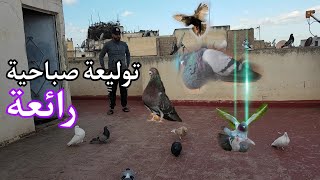 خوتي العزاز واحد توليعة صباحية جميلة وتحياتي ليكم ولكل من يضع تعليق محفز🙏🙏