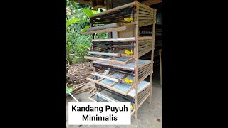 Kandang Puyuh Minimalis