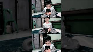 kucing lucu. #shortvideo #kucing