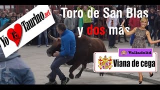 Cogida de un veterano cortador en el Toro de San Blas y dos toros más