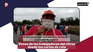 Voces de los trabajadores del citrus desde los cortes de ruta en Tucumán