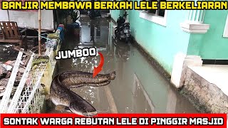 habis Banjir banyak ikan lele di pinggir masjid‼️sontak warga berebutan