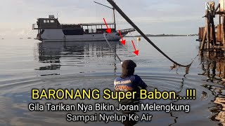 Luar Biasa Ganas...!! Tarikan ikan Baronang Besar Bikin Tegek Hampir Patah