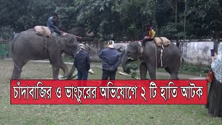 GTv Bangla.24 News//Habiganj Elephant Atok/ চাঁদাবাজি ও ভাংচুরের অভিযোগে ২ টি হাতিকে আটক