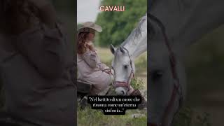 Nel battito di un cuore che risuona come un'eterna sinfonia #cavalli #aforismi #animali