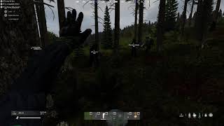 DayZ: Ran into an admin