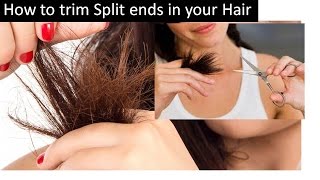 How to Trim Split ends in your Hair | to avoid hair damage & hair fall