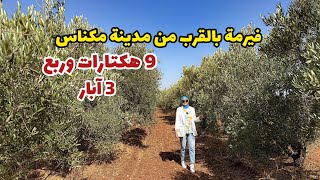 فيرمة بالقرب من مدينة مكناس🔥تتميز بوفرة المياه😍 3 آبار😮 #عقارات_بامكنا