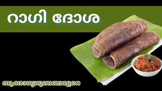 റാഗി ദോശപ്രമേഹരോഗികൾക്ക് മാത്രമല്ല.DR KHALEEL VLOG