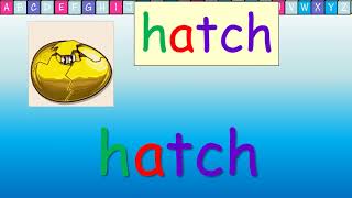 Phonics: Ch Digraph (2021)