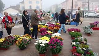 Marché aux Chrysanthèmes . Louhans du 28-10-2024