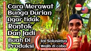 CARA MERAWAT BUNGA DURIAN AGAR TIDAK RONTOK  DAN BISA JADI BUAH PRODUKSI.