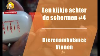 Een kijkje achter de schermen #4 -  Dierenambulance Vianen