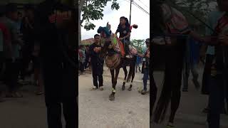 Kuda renggong putra lipur - horse dance videos #kuda #kudarenggong #kudasumedang #shortsvideo #fyp