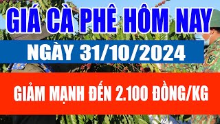 Giá cà phê hôm nay 31/10/2024: Giảm mạnh đến 2.100 đồng/kg