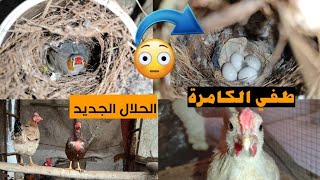 ماشاء الله بداية الخير من الفناجس وطيور الحب 😍😍 نزل فيديو الموسم 🐤🐣