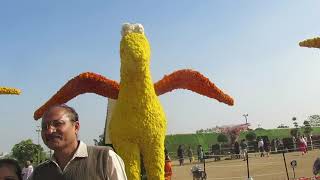 FLOWER SHOW AHMEDABAD 2024  PART  2 ||AHMEDABAD  #trending #flowershow #ahmedabad