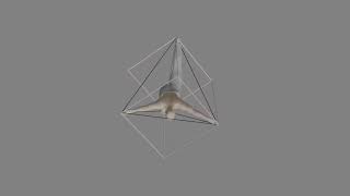 Person in a Tetrahedron in a Cube (Y rotation)