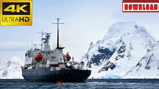 🎁4K Big ship in Antarctica | DAILY NATURE FOOTAGE