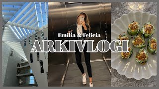 TOIMISTOPÄIVÄ, ASUNTO UPDATE JA ARKEA 💻 || Emilia & Felicia