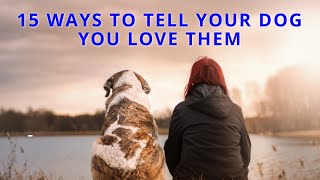 15 Ways To Tell Your Dog You Love Them