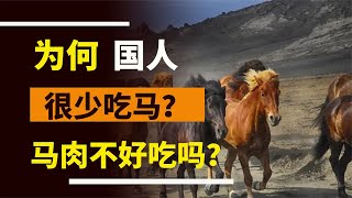 全球每年宰殺約470萬匹馬為何國人卻很少吃馬是馬肉不好吃嗎