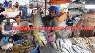 The largest fish market in the world | All Types Of fish are available in this market | Awesome fish