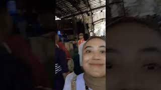 Ada dinosaurus di dufan😱😱😱